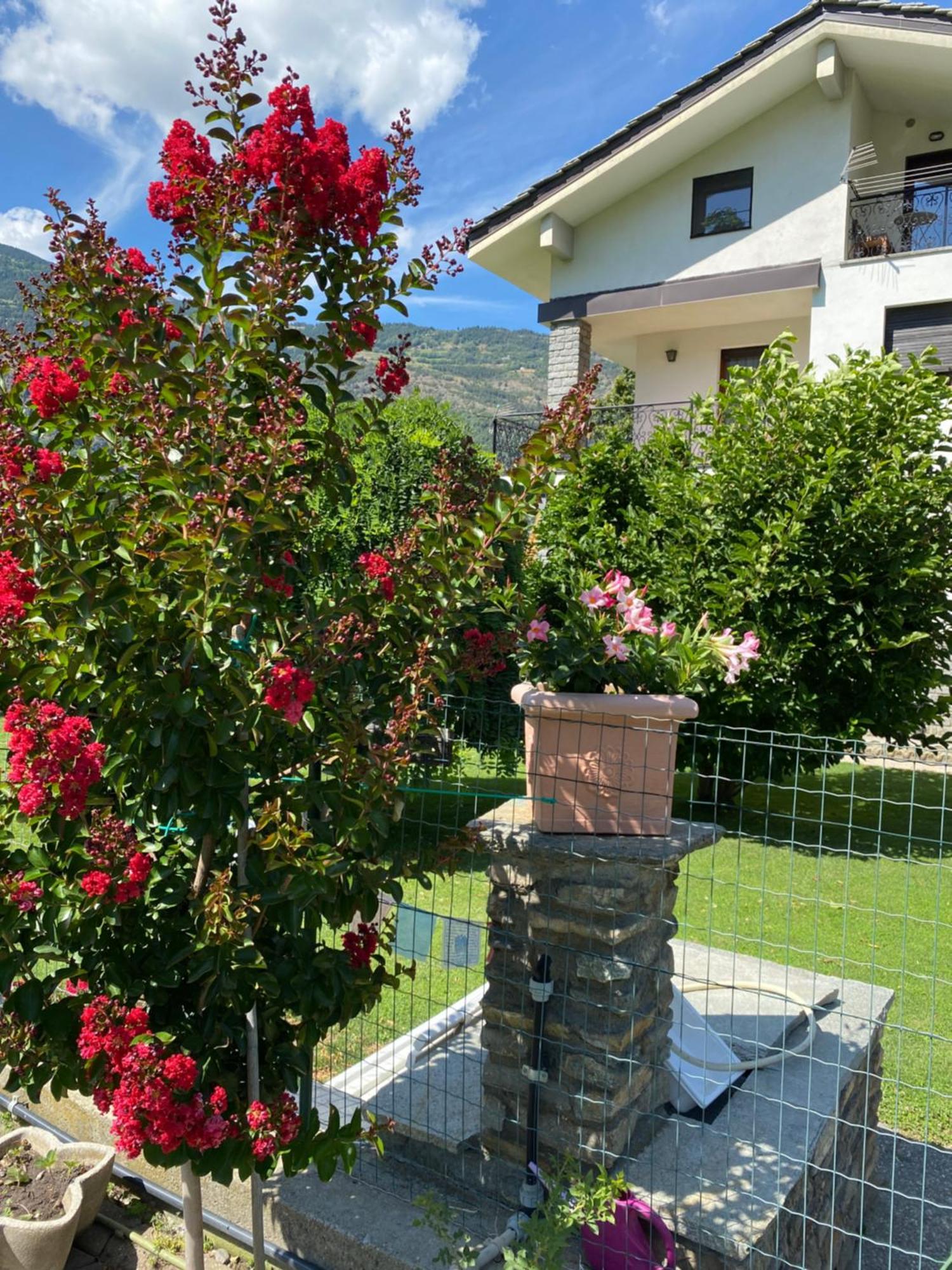Il Tiglio Gressan Lägenhet Aosta Exteriör bild